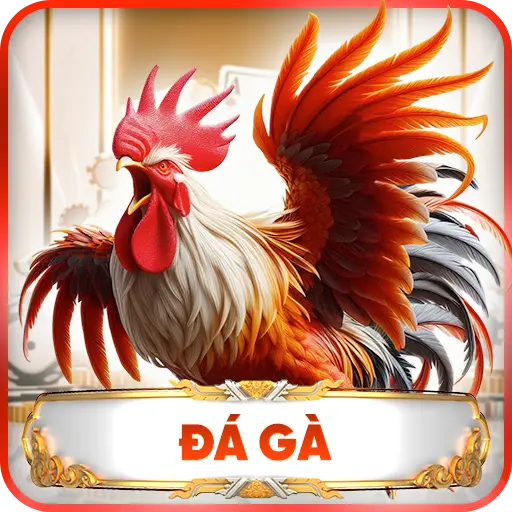 Đá Gà C168 – Sân Chơi Đỉnh Cao Cho Các Tín Đồ Đam Mê